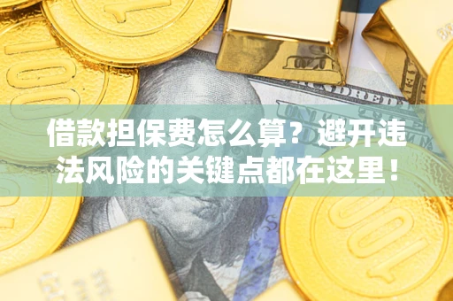 济南借款担保费怎么算？避开违法风险的关键点都在这里！