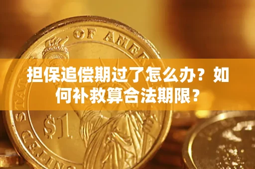 济南担保追偿期过了怎么办？如何补救算合法期限？