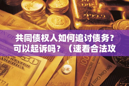济南共同债权人如何追讨债务？可以起诉吗？（速看合法攻略）